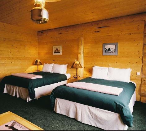 Bear Track Inn Gustavus Bagian luar foto